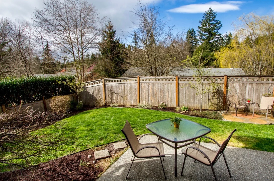 22. backyard edited.jpg