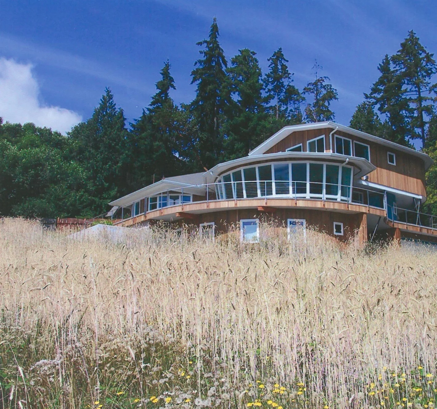 25.house with field.jpg