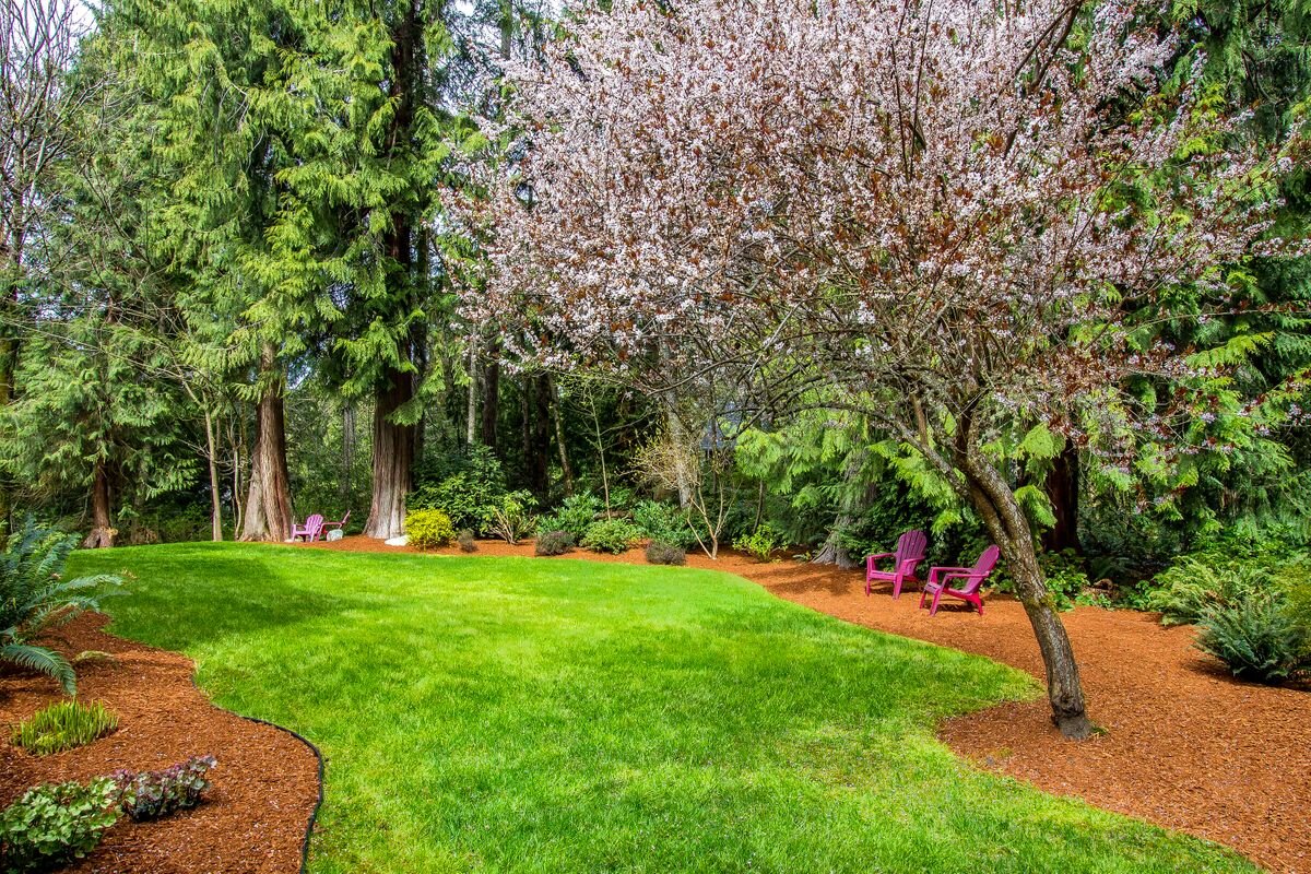 Such a lovely side yard with yet another flowering ornamental tree. The yard is completed irrigated with an automatic sprinkler system. 