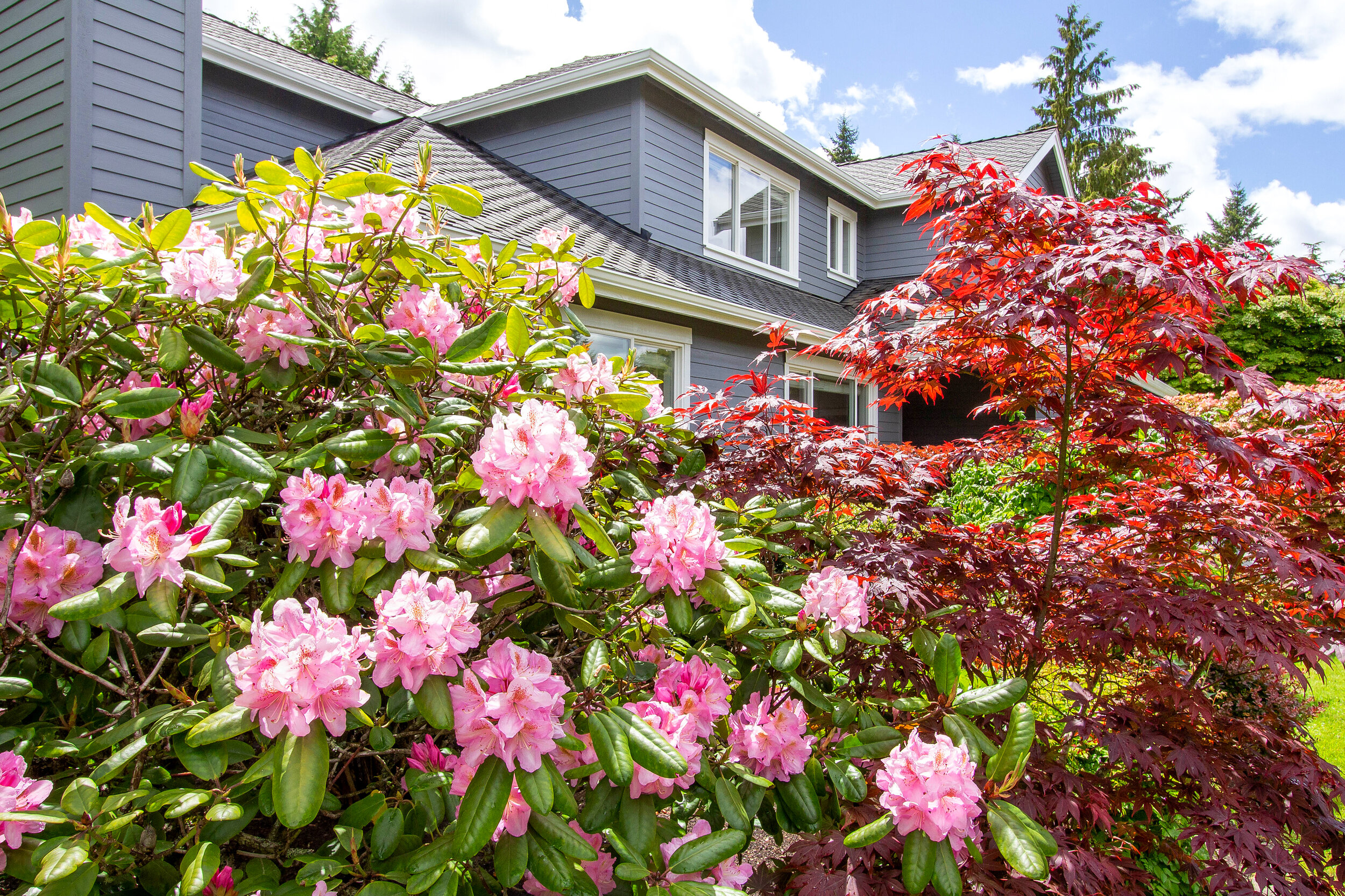  Delight in the beauty of nature as the garden comes into full bloom during the summer.&nbsp;&nbsp; 