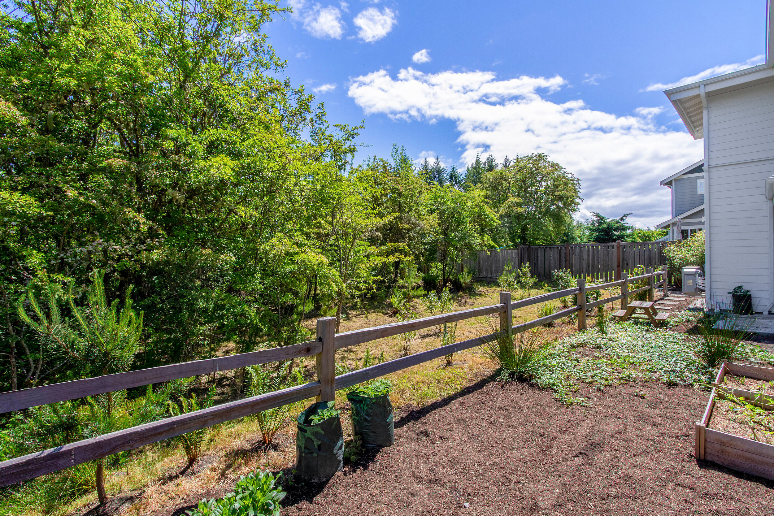 Enjoy a spacious backyard, perfect for building out the garden of your dreams!