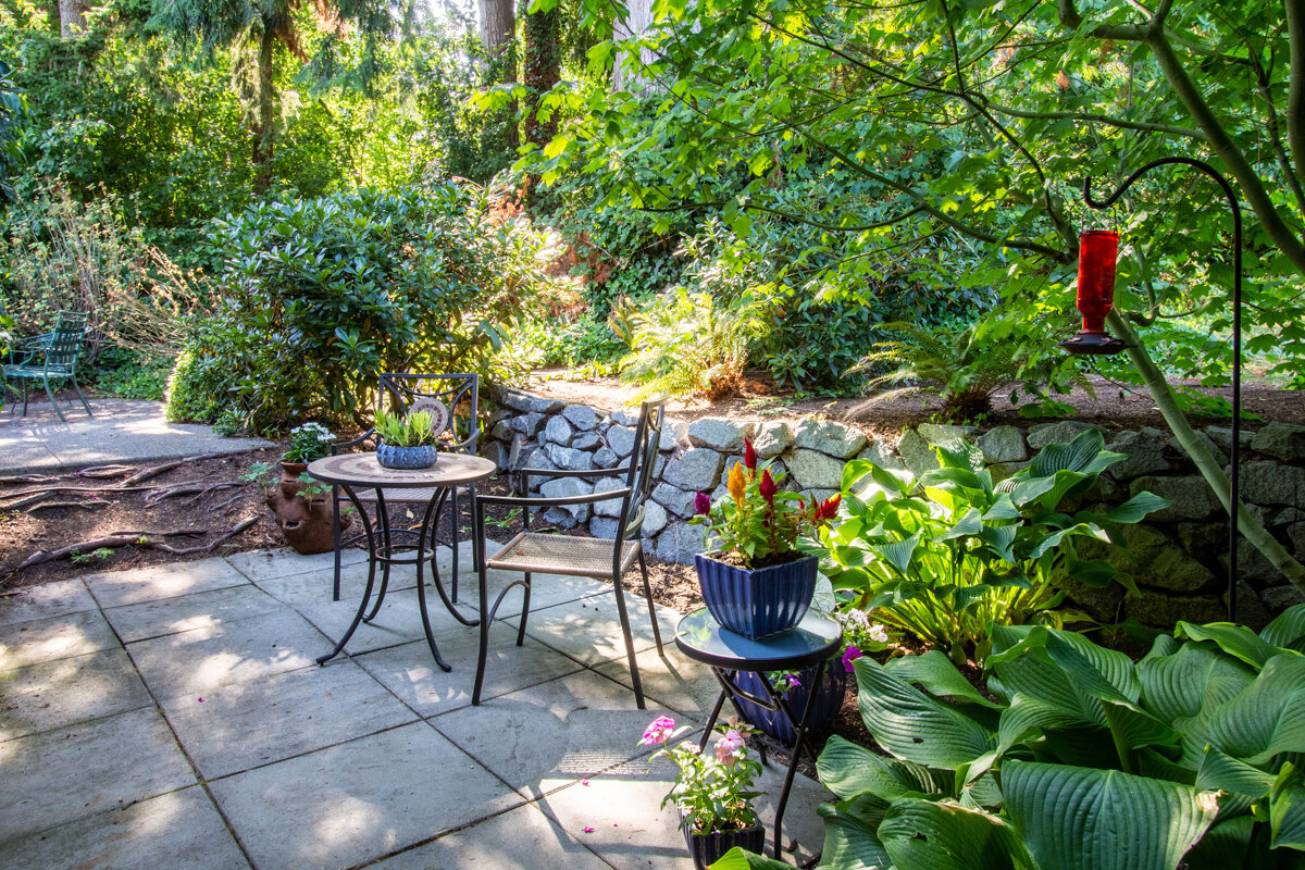 A cozy back patio is beautifully enveloped by plants and green trees, creating a peaceful setting.