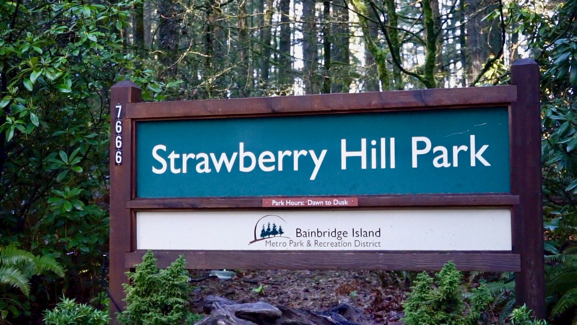 Strawberry Hill Park.jpg