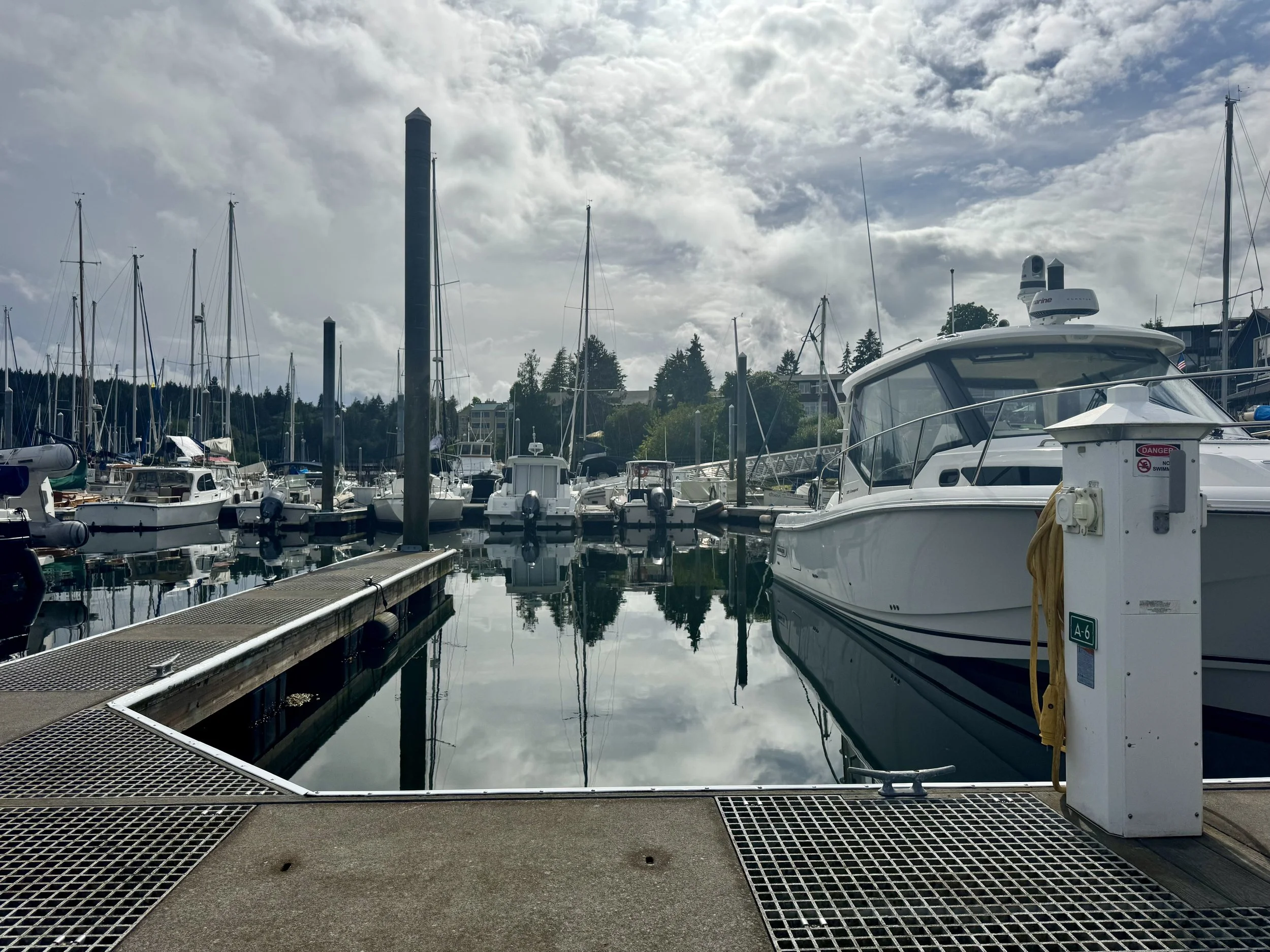 IMG_2872.jpeg