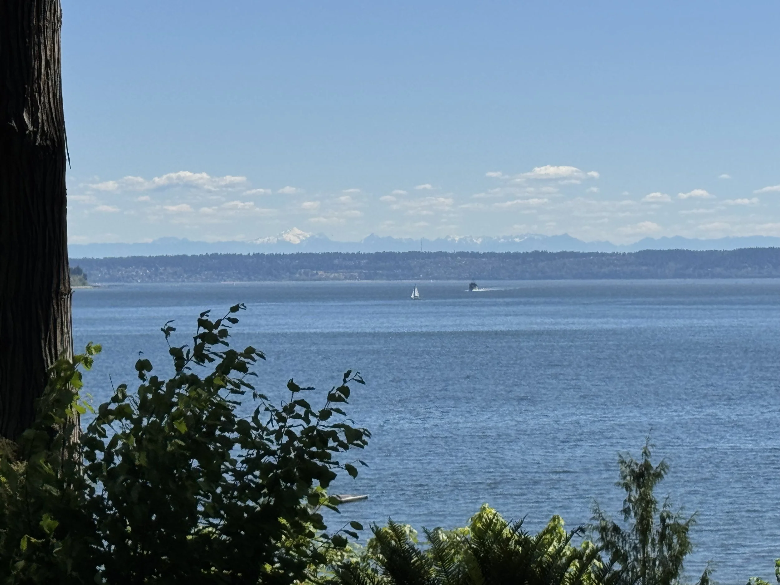 View of Mount Baker.jpg