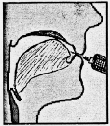 Fig. 2: Tongue in Fluttering Position