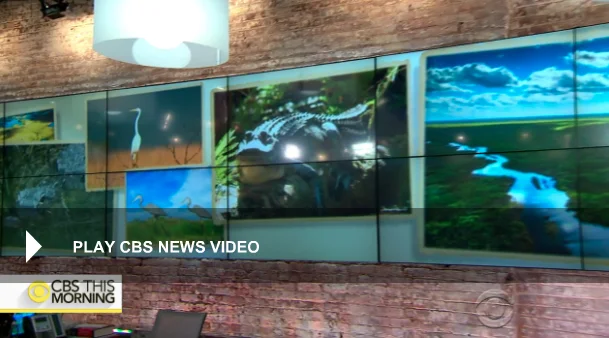 Inside the effort to protect Florida's Everglades