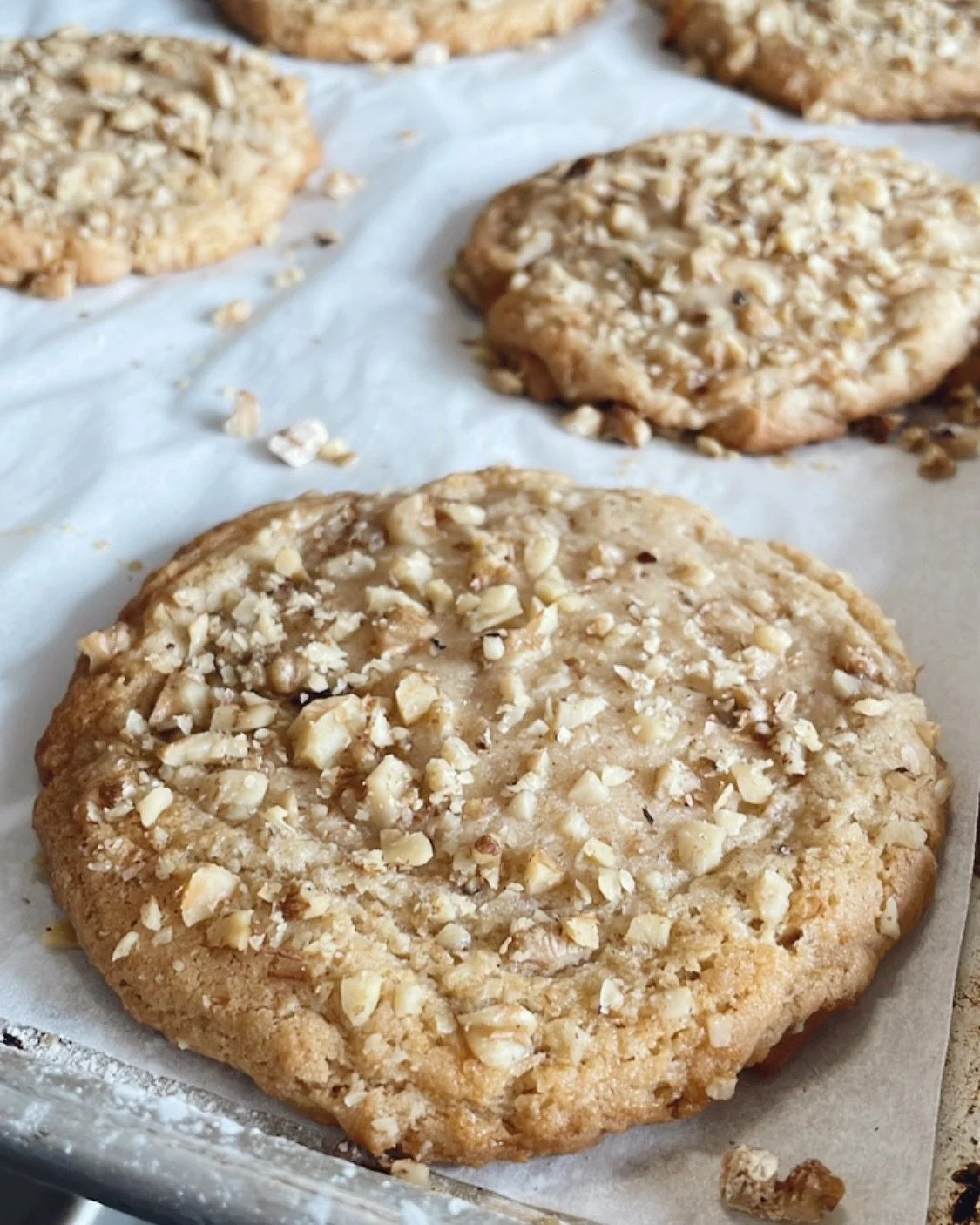 Our bee-loved Honey Apple Walnut Cookie is back for only a few days! 

Made in collaboration with the @californiahoneyfestival, this super soft cookie features apples grown in the Pacific Northwest, drizzled with locally sourced honey from @thehivewo