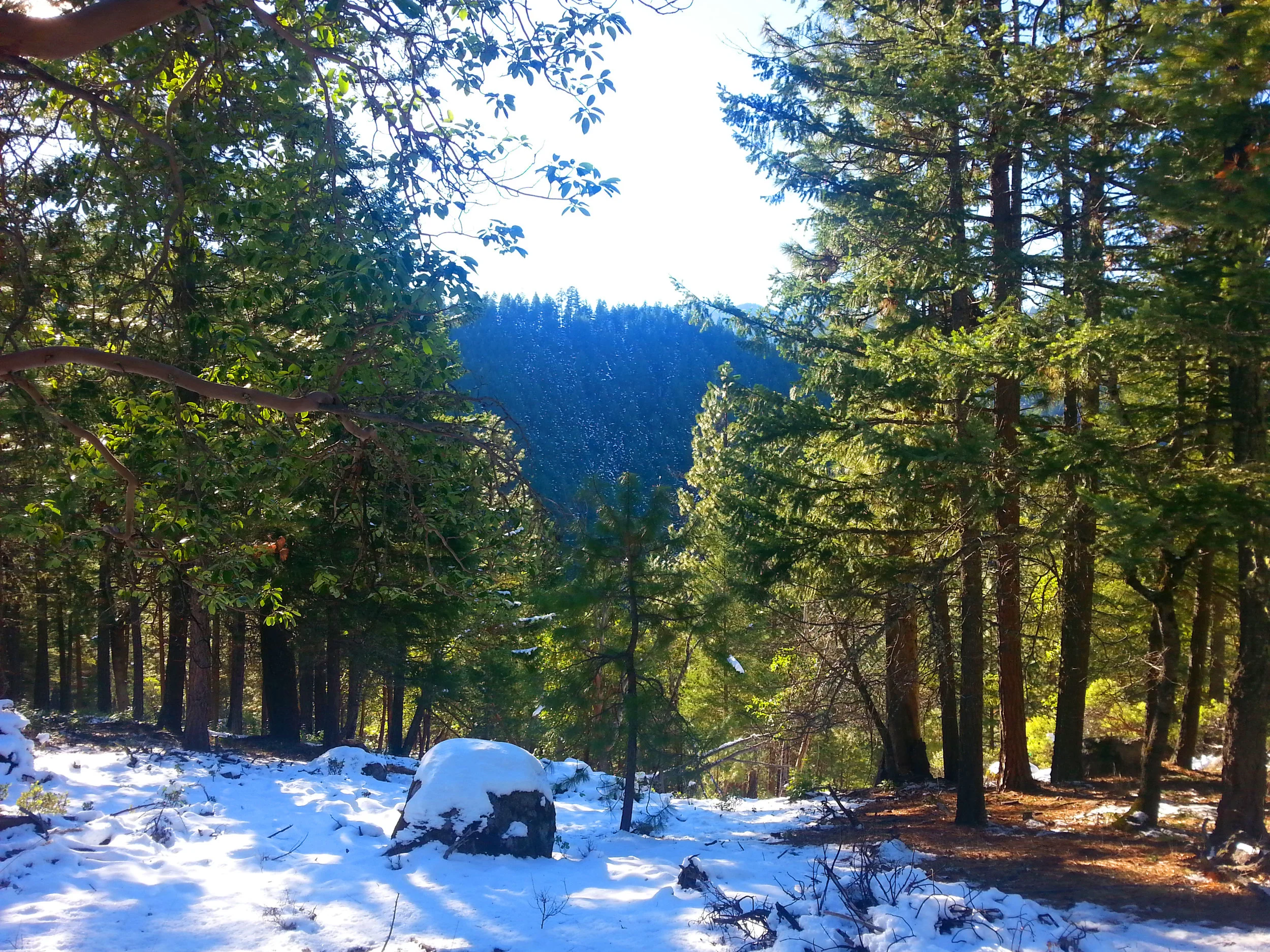 5 More Great Southern Oregon Hikes To Do With Kids What To Do In Southern Oregon