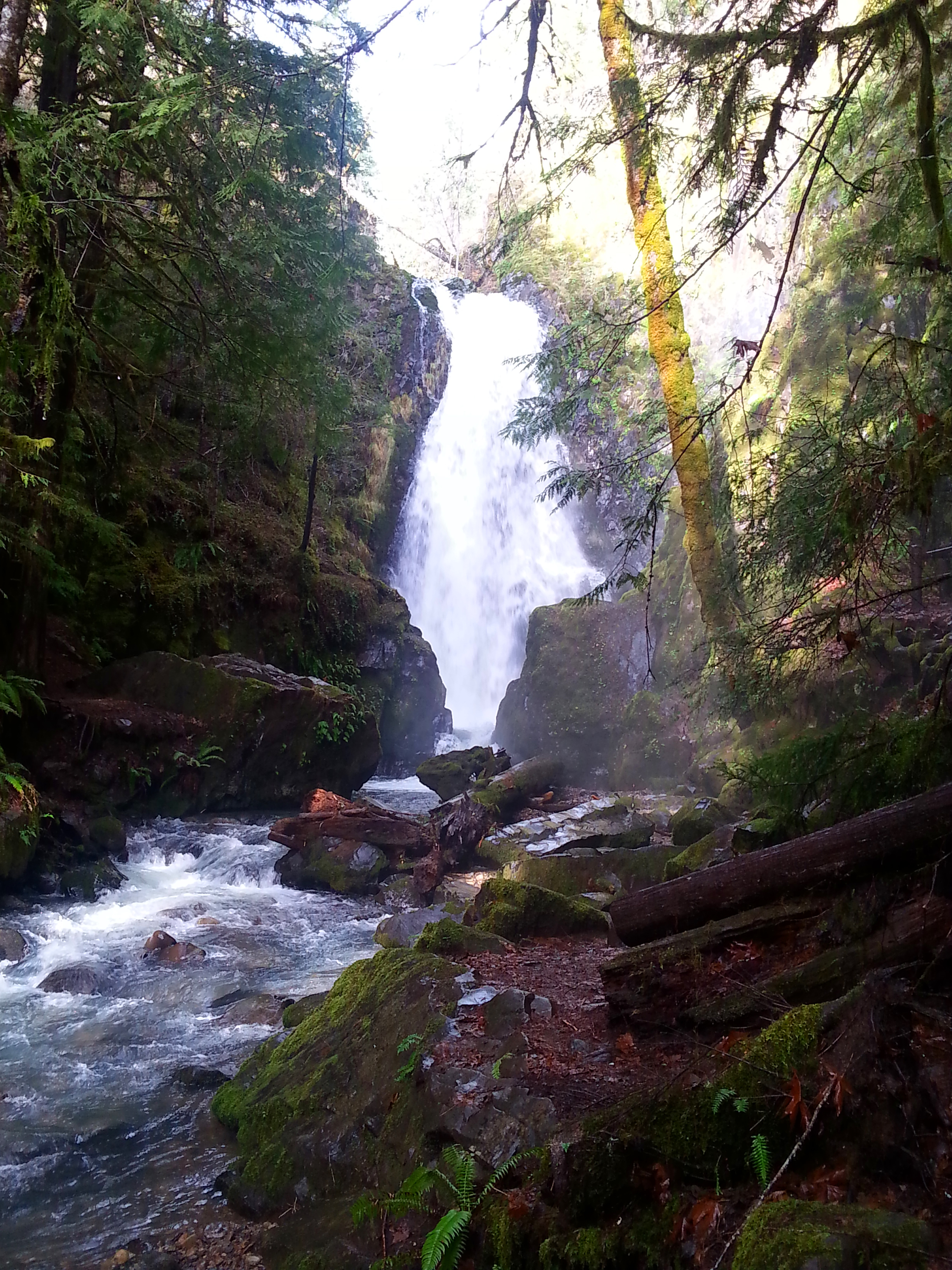 01 January 12th - Susan Creek Falls, Glide, Oregon - Umpqua Valley - Douglas County - Southern Oregon (23).jpg