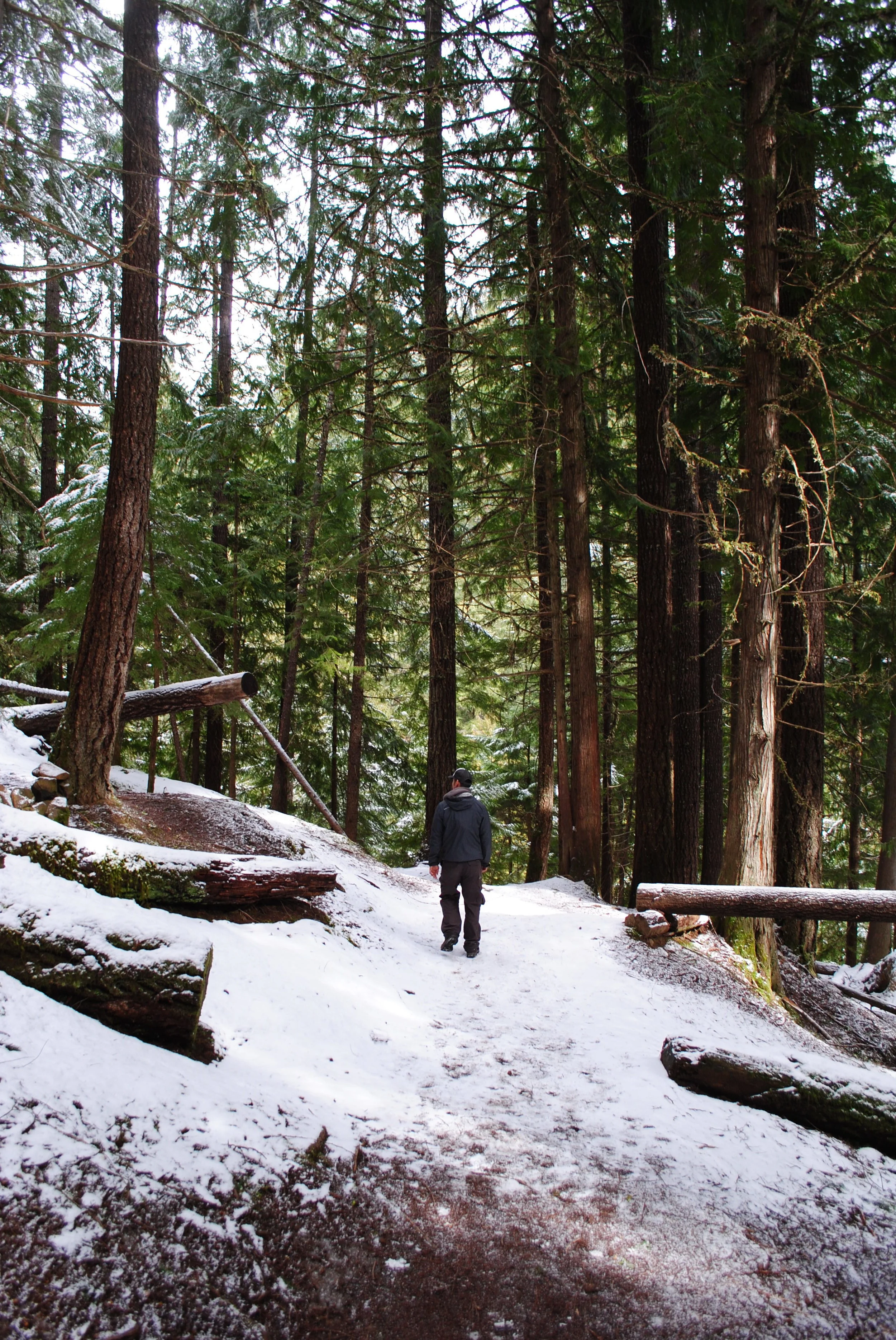THREE AMAZING WATERFALL HIKES ONE HOT SPRING IN THE NORTH UMPQUA