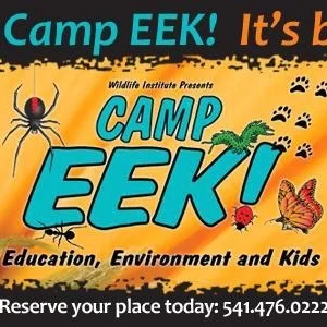 CAMP EEK!  at WILDLIFE IMAGES