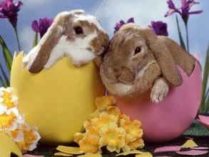 OIT ANNUAL EASTER EGG SCRAMBLE