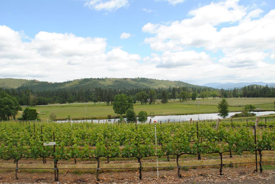 ROAM THE ROGUE - Seven Wineries, One Day - What to do in Southern Oregon - Things to do - Wine Tasting  - Upper Rogue Wine Trail - Kriselle Cellars