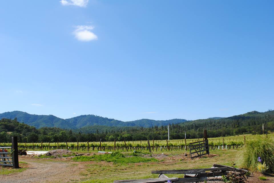 ROAM THE ROGUE - Seven Wineries, One Day - What to do in Southern Oregon - Things to do - Wine Tasting  - Upper Rogue Wine Trail - Cliff Creek Cellars