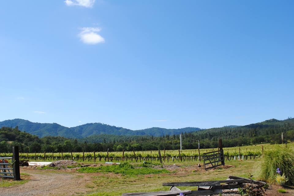 ROAM THE ROGUE - Seven Wineries, One Day - What to do in Southern Oregon - Things to do - Wine Tasting - Upper Rogue Wine Trail - Cliff Creek Cellars