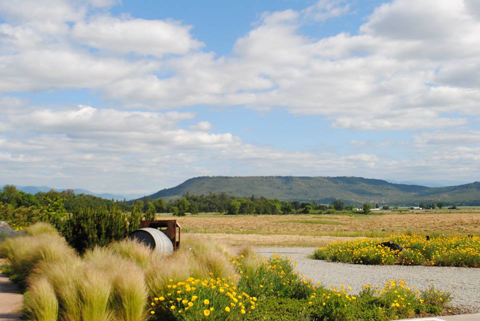 ROAM THE ROGUE - Seven Wineries, One Day - What to do in Southern Oregon - Things to do - Wine Tasting - Upper Rogue Wine Trail - Folin Cellars