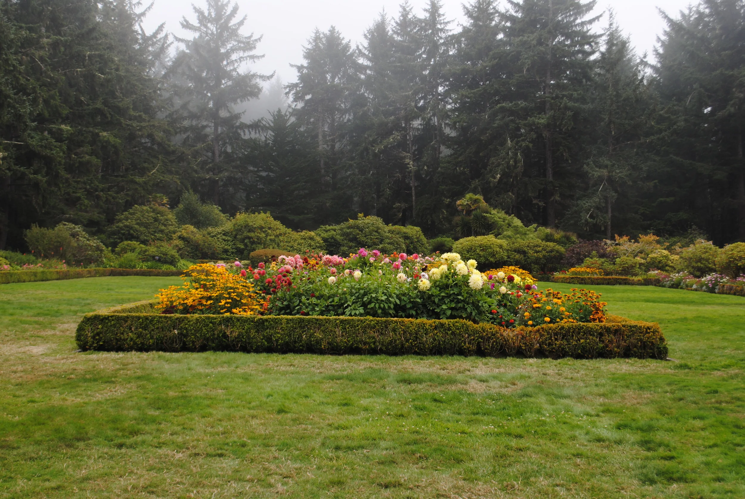 Rhododendron Sunday at Shore Acres State Park
