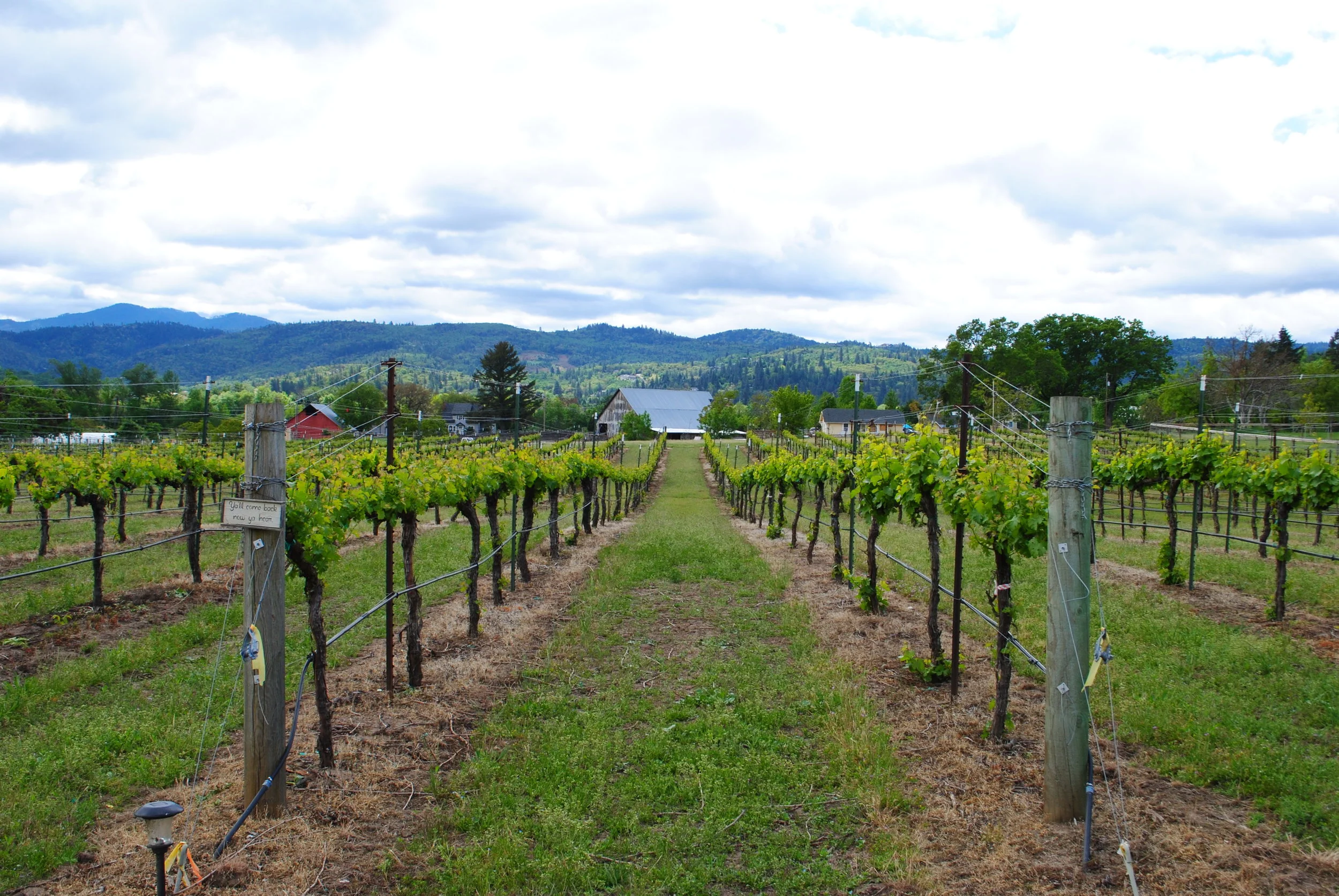 THE BEST WAYS TO ENJOY OREGON WINE MONTH IN SOUTHERN OREGON