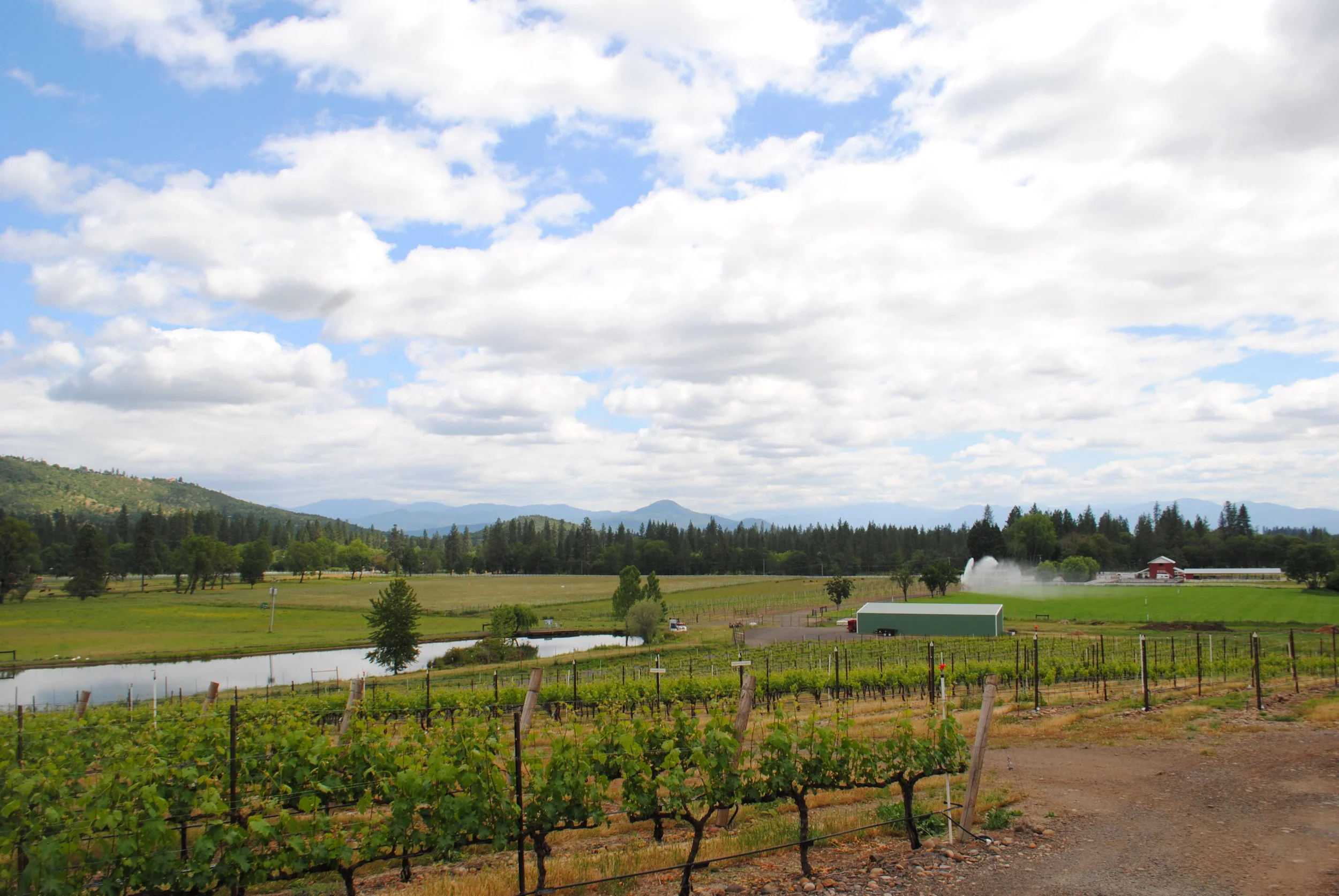 ROAM THE ROGUE - FIVE WINERIES, ONE DAY