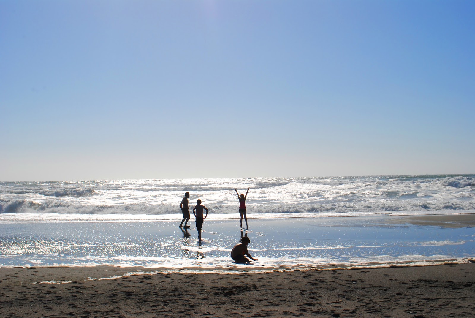 GOLD BLUFFS BEACH - What to do in Southern Oregon - Things to do - Norhtern California - Camping - Day TRip - Kid-Friendly - Beaches