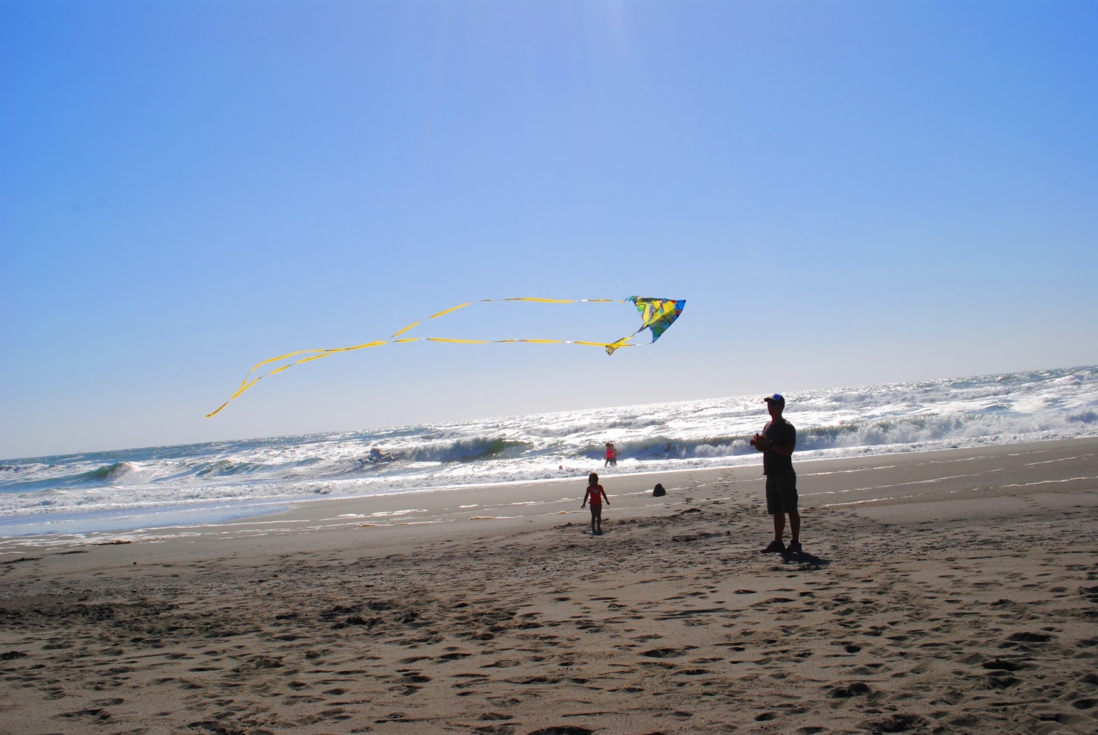 GOLD BLUFFS BEACH - What to do in Southern Oregon - Things to do - Norhtern California - Camping - Day TRip - Kid-Friendly - Beaches
