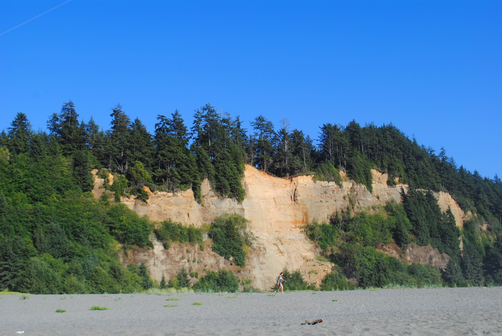 GOLD BLUFFS BEACH - What to do in Southern Oregon - Things to do - Norhtern California - Camping - Day TRip - Kid-Friendly - Beaches