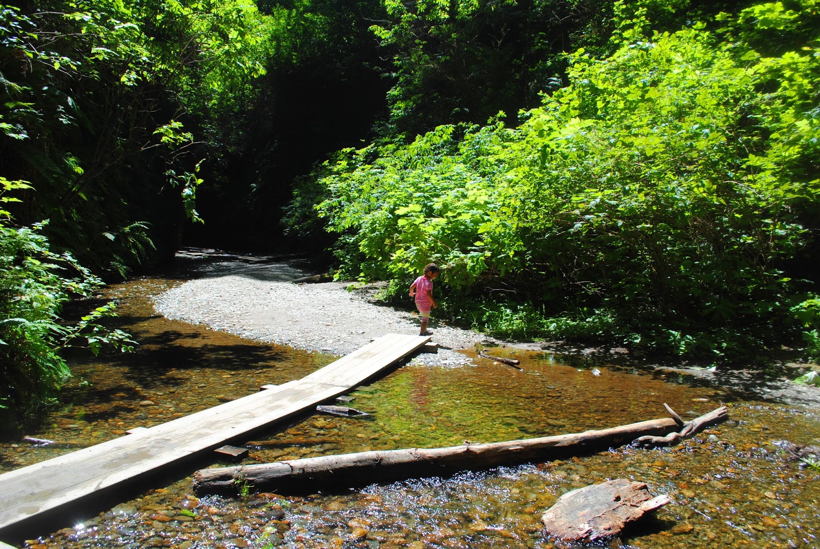 GOLD BLUFFS BEACH - What to do in Southern Oregon - Things to do - Norhtern California - Camping - Day TRip - Kid-Friendly - Beaches