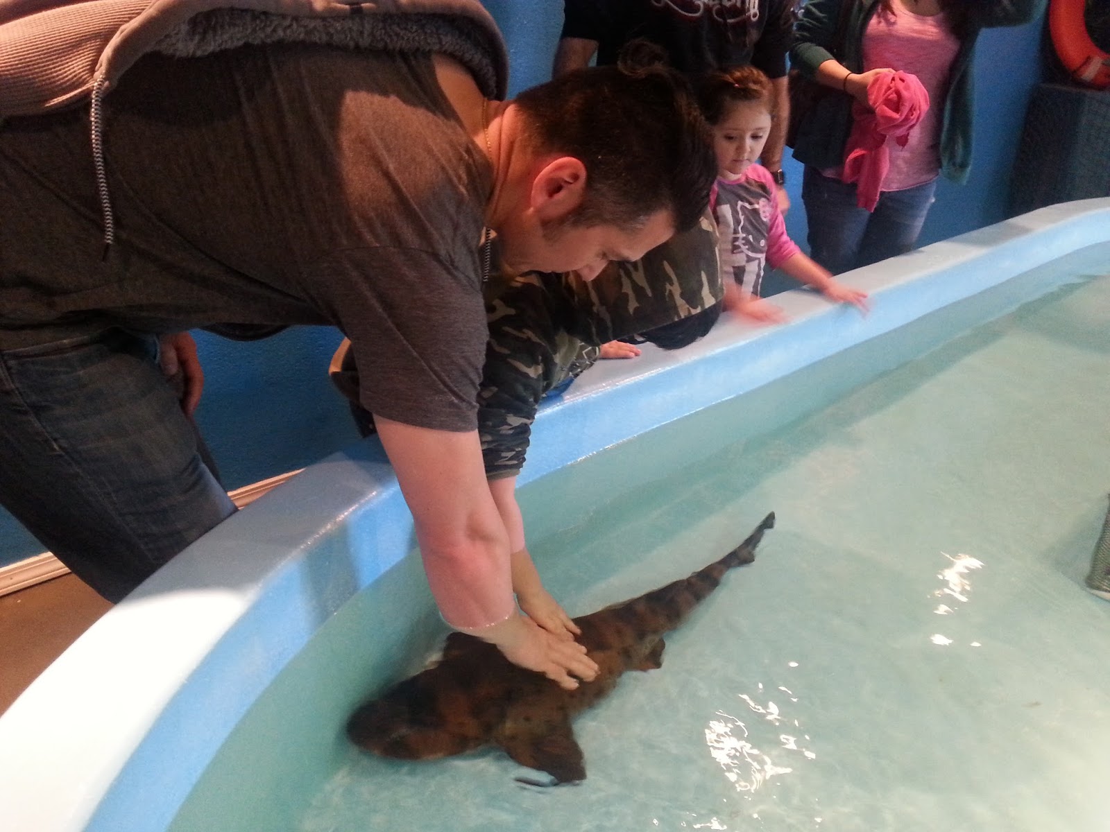 OCEAN WORLD - What to do in Southern Oregon - Things to do - Norhtern California - Camping - Day TRip - Kid-Friendly - Beaches