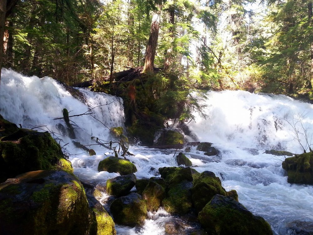 PEARSONEY FALLS - Waterfalls - What to do in Southern Oregon - Things to do - Hikes - Kids