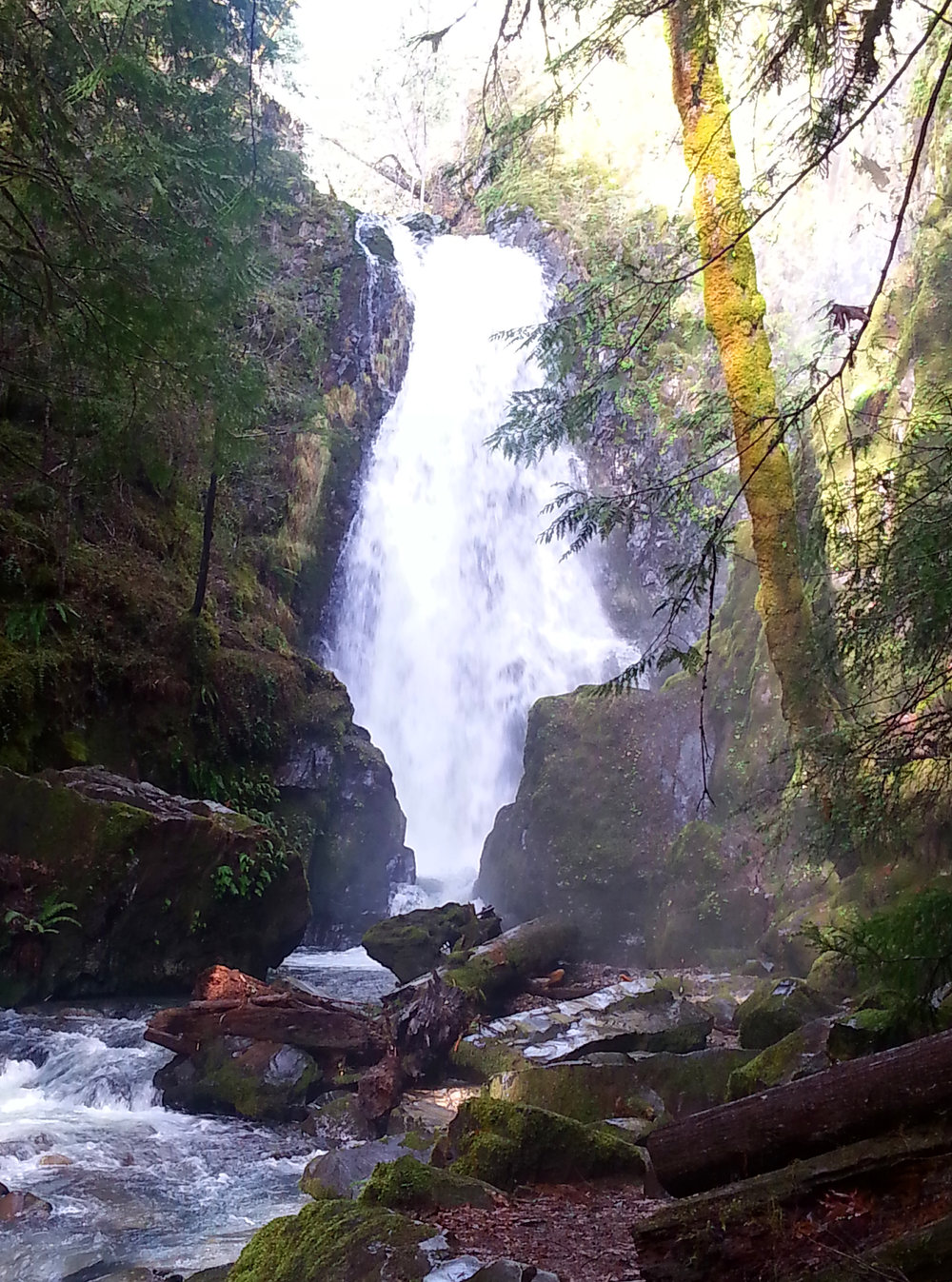 SUSAN CREEK FALLS - Waterfalls - What to do in Southern Oregon - Things to do - Hikes - Kids