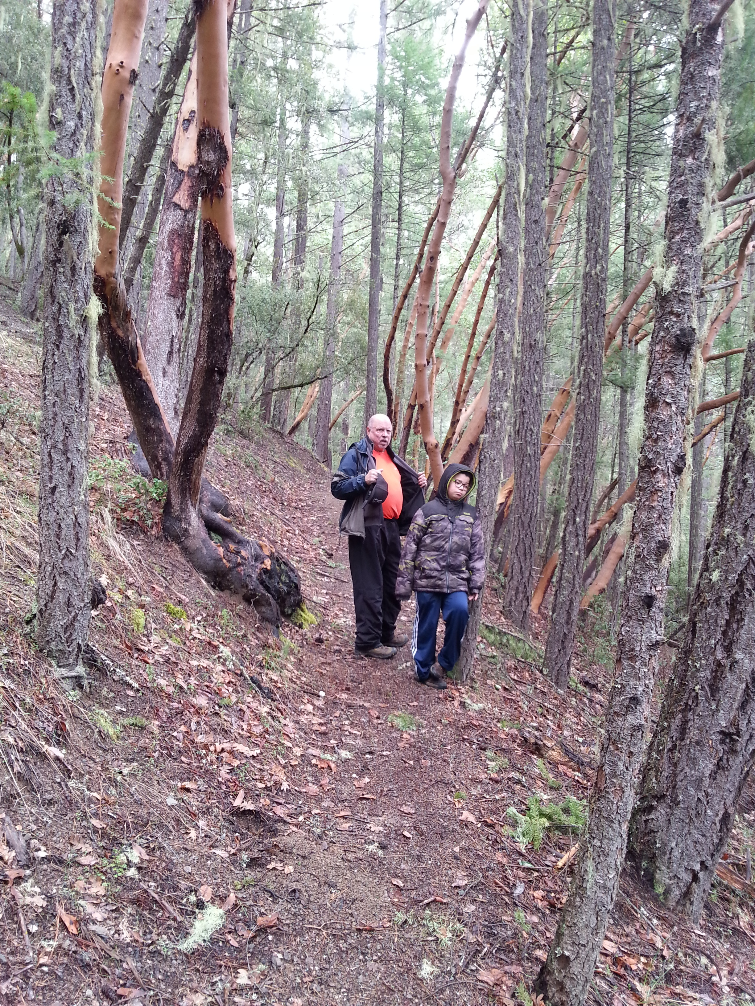 GROUSE LOOP TRAIL - What to do in Southern Oregon - Things to do - Hiking - Kids - Applegate - Jacksonville