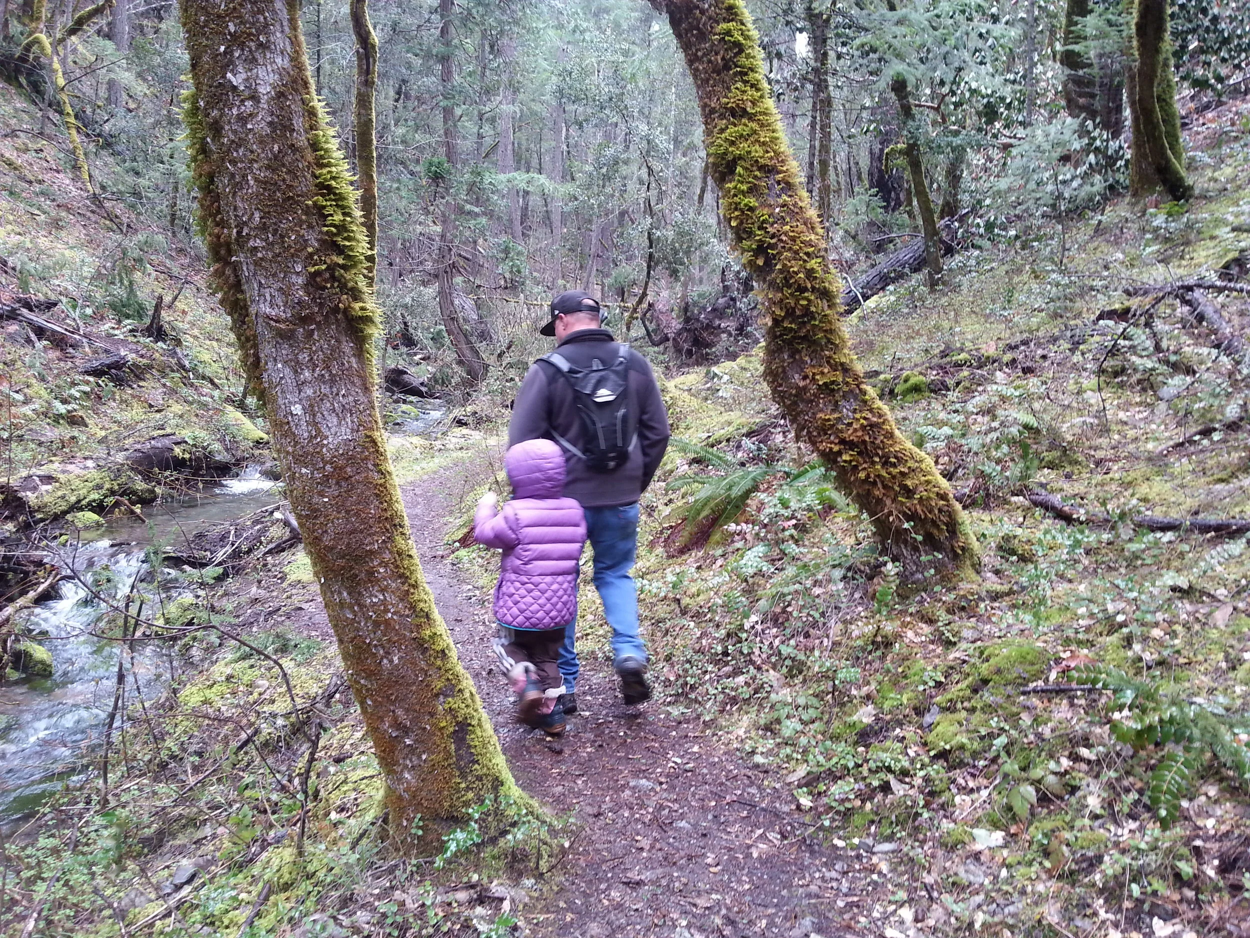 BIGFOOT TRAP - COLLINGS MOUNTAIN TRAIL #943 - What to do in Southern Oregon - Things to do - Hiking - Kids - Applegate - Jacksonville