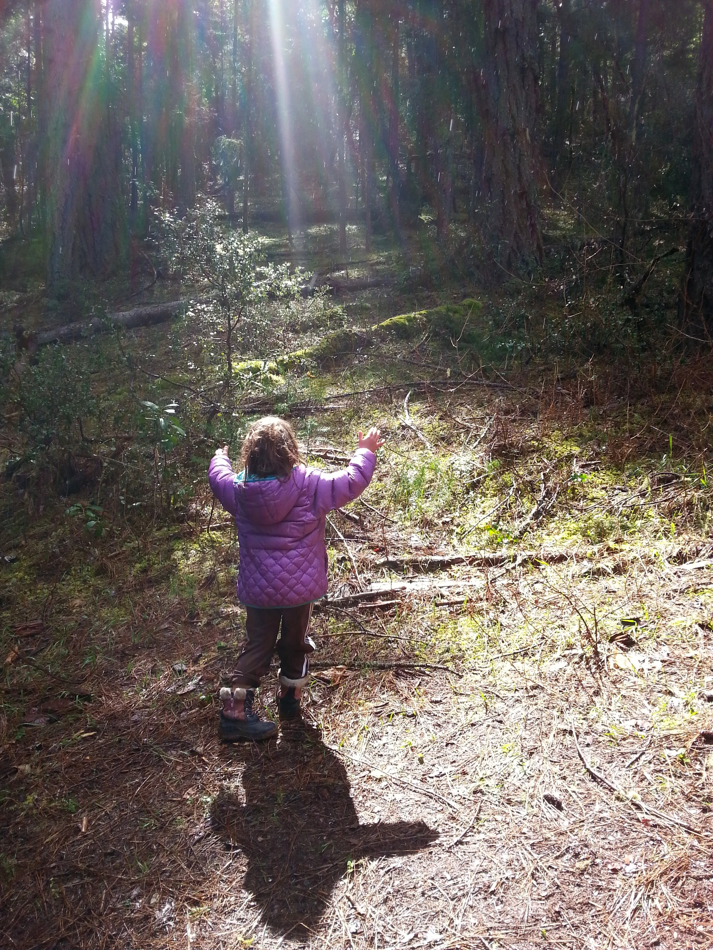 BIGFOOT TRAP - COLLINGS MOUNTAIN TRAIL #943 - What to do in Southern Oregon - Things to do - Hiking - Kids - Applegate - Jacksonville