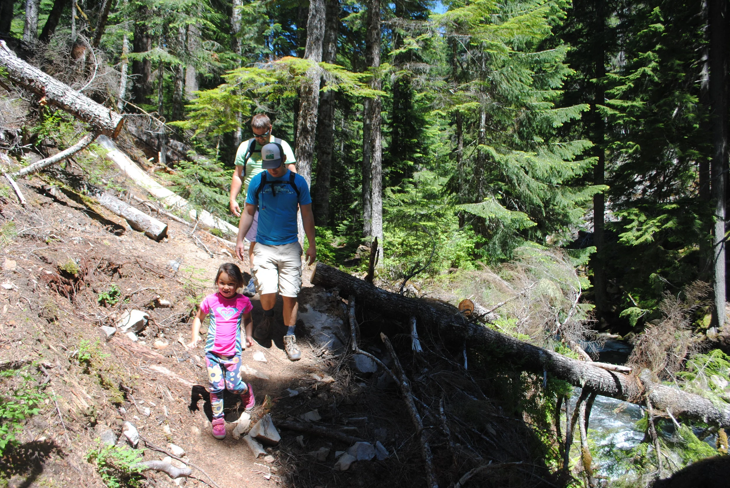 FOUR WATERFALLS, ONE DAY - HIKING ADVENTURES WITH KIDS - What to do in Southern Oregon - Things to do - Douglas County - Lemolo Falls