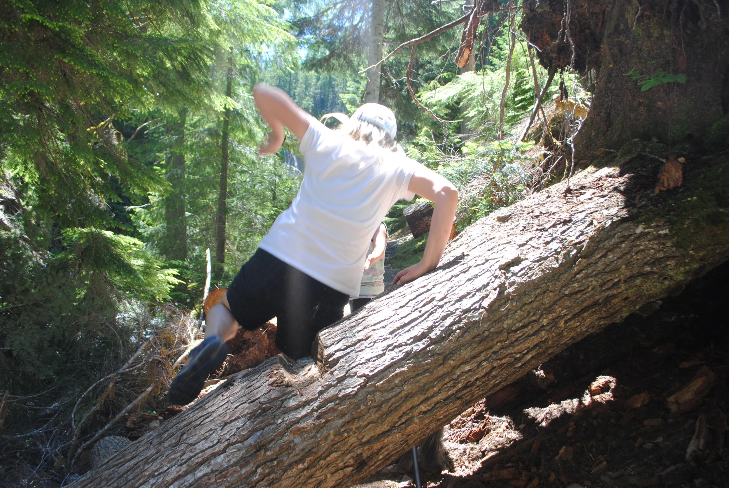 FOUR WATERFALLS, ONE DAY - HIKING ADVENTURES WITH KIDS - What to do in Southern Oregon - Things to do - Douglas County - Lemolo Falls