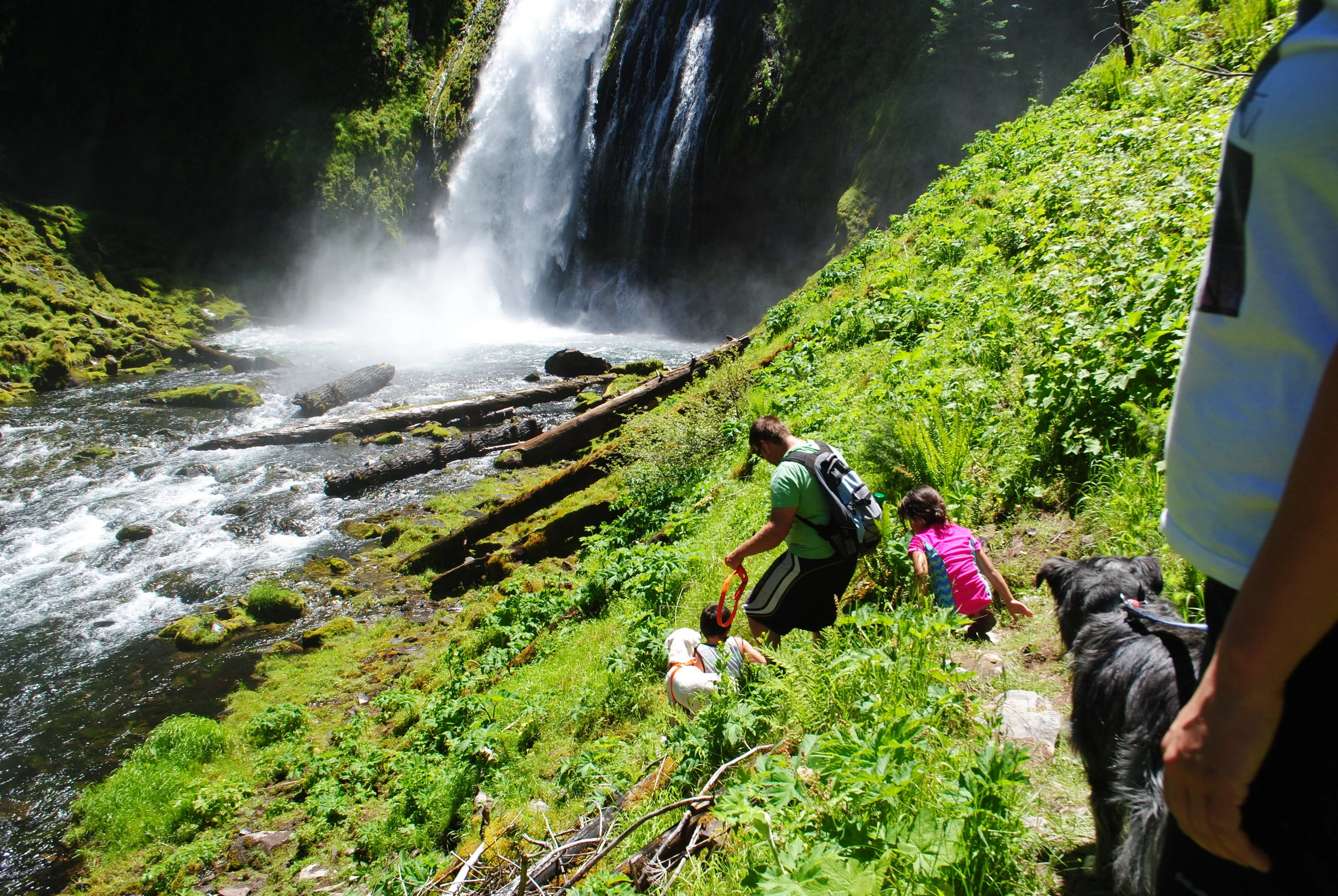 FOUR WATERFALLS, ONE DAY - HIKING ADVENTURES WITH KIDS - What to do in Southern Oregon - Things to do - Douglas County - Lemolo Falls