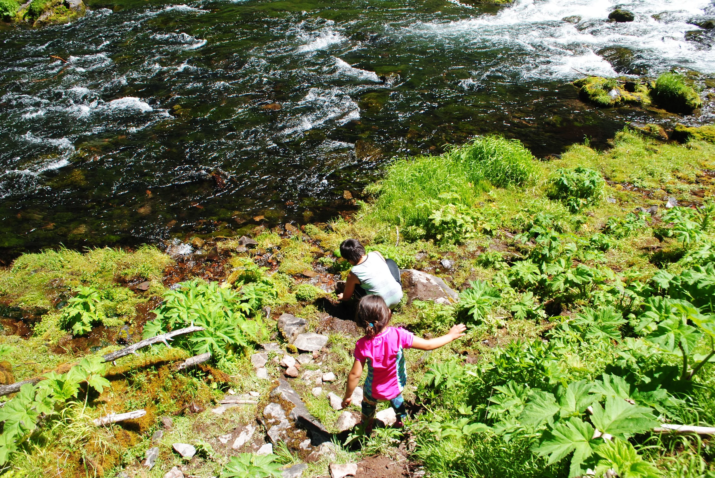 FOUR WATERFALLS, ONE DAY - HIKING ADVENTURES WITH KIDS - What to do in Southern Oregon - Things to do - Douglas County - Lemolo Falls