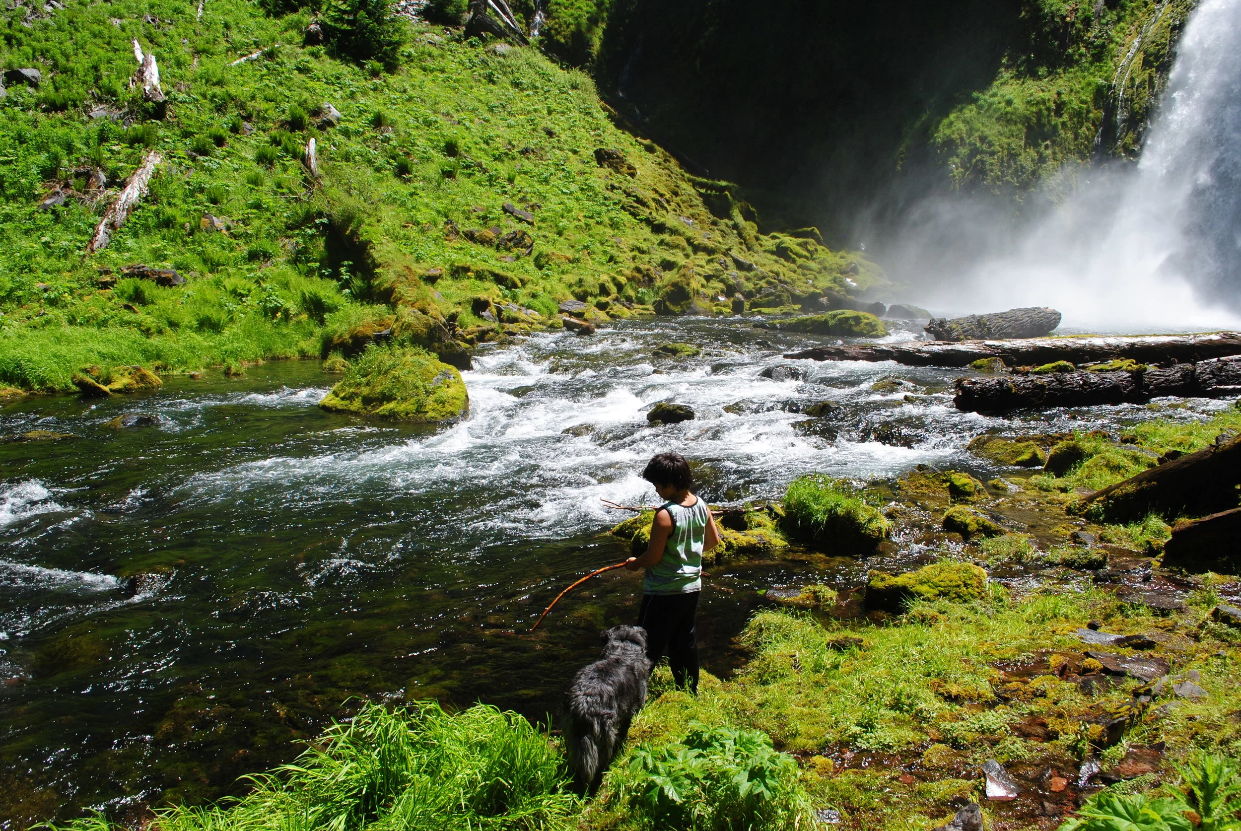 FOUR WATERFALLS, ONE DAY - HIKING ADVENTURES WITH KIDS - What to do in Southern Oregon - Things to do - Douglas County - Lemolo Falls