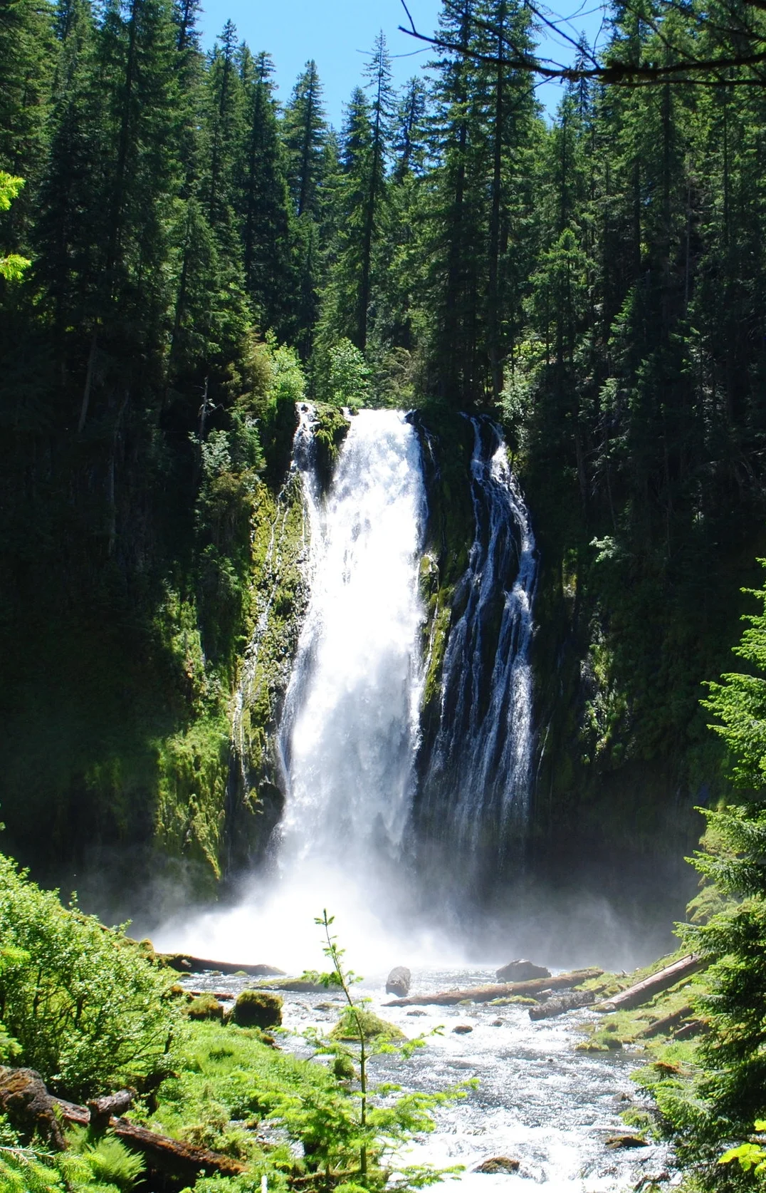 FOUR WATERFALLS, ONE DAY - HIKING ADVENTURES WITH KIDS - What to do in Southern Oregon - Things to do - Douglas County - Lemolo Falls