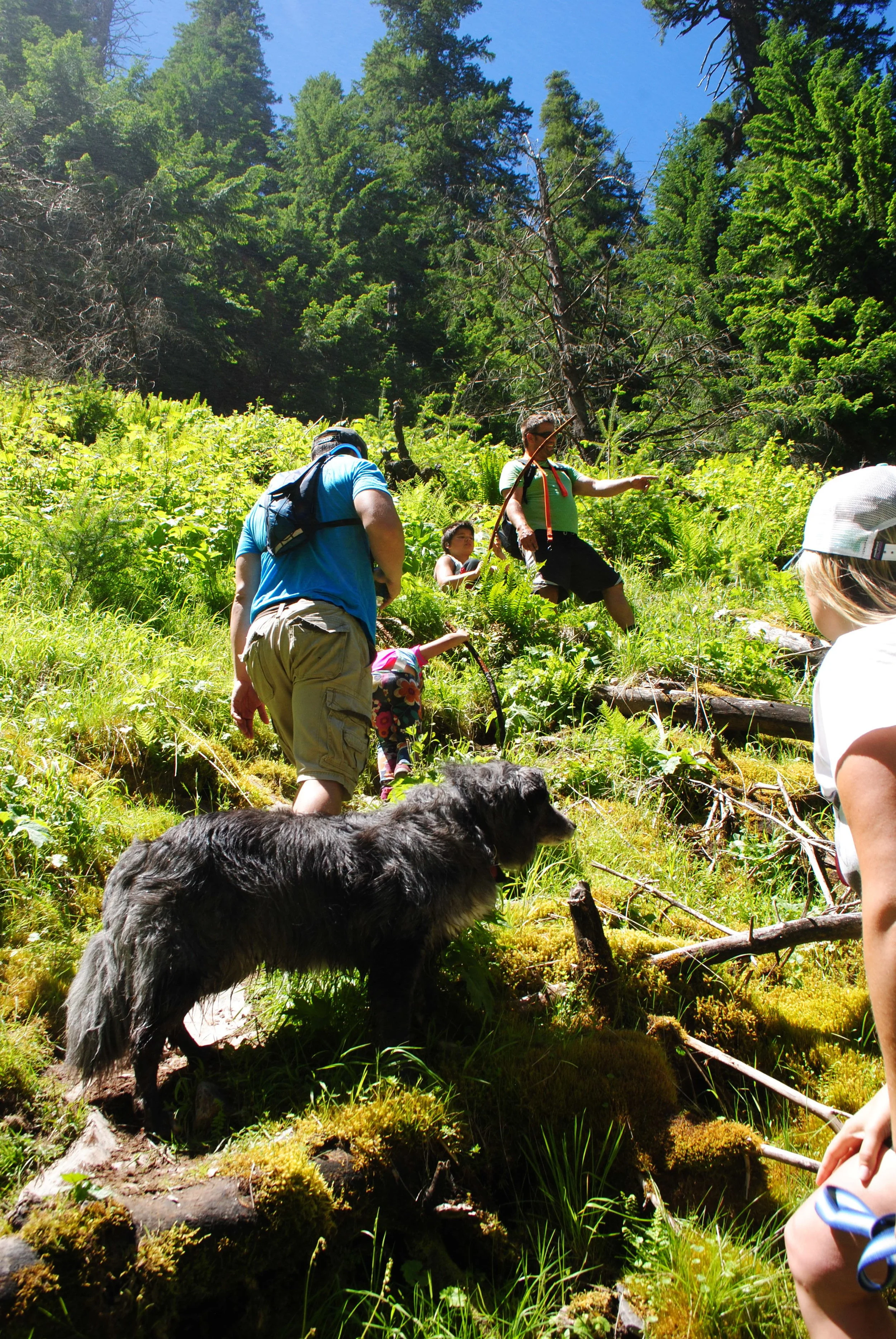 FOUR WATERFALLS, ONE DAY - HIKING ADVENTURES WITH KIDS - What to do in Southern Oregon - Things to do - Douglas County - Lemolo Falls