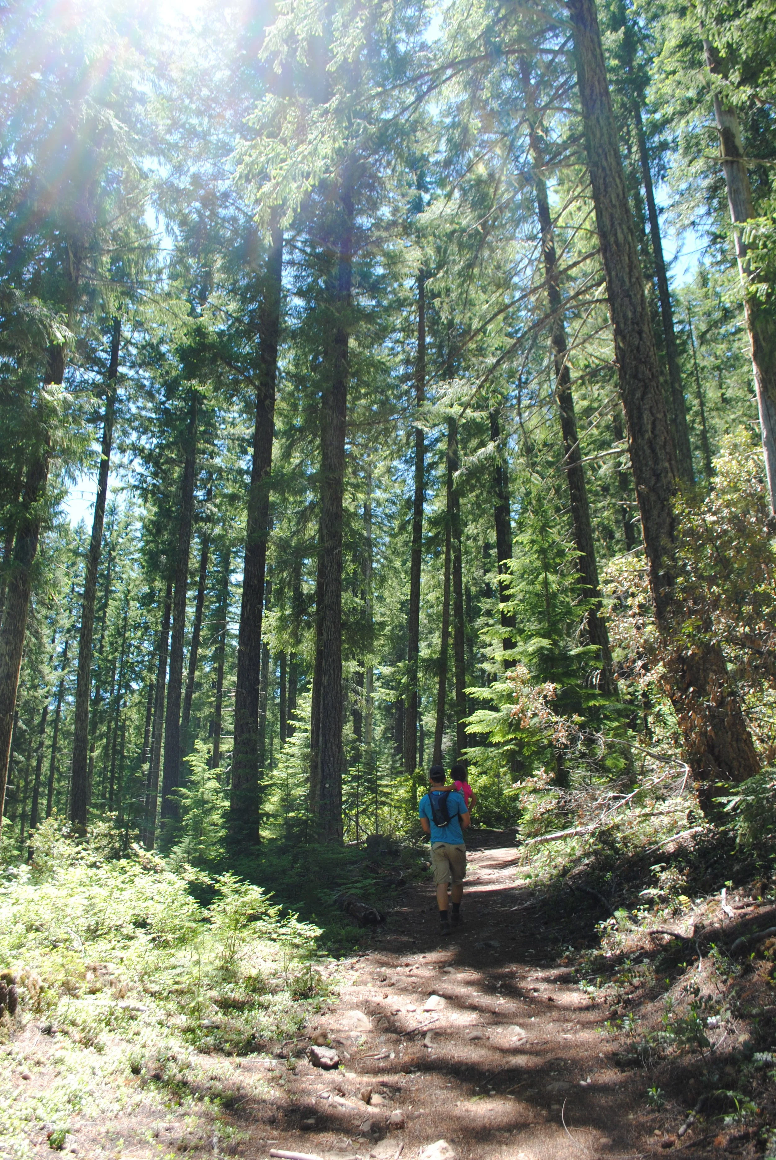 FOUR WATERFALLS, ONE DAY - HIKING ADVENTURES WITH KIDS - What to do in Southern Oregon - Things to do - Douglas County - Lemolo Falls