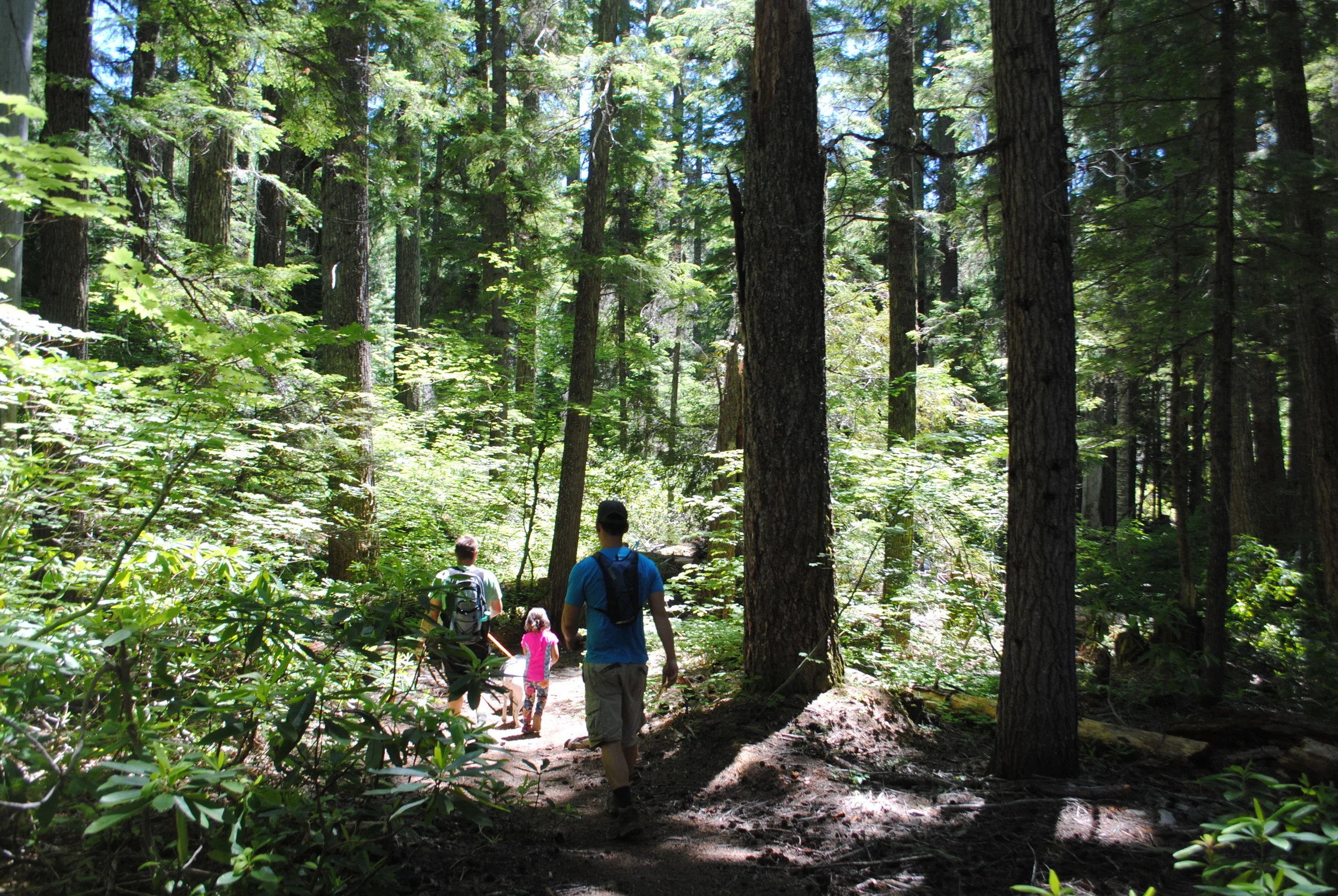 FOUR WATERFALLS, ONE DAY - HIKING ADVENTURES WITH KIDS - What to do in Southern Oregon - Things to do - Douglas County - Warm Spring Falls