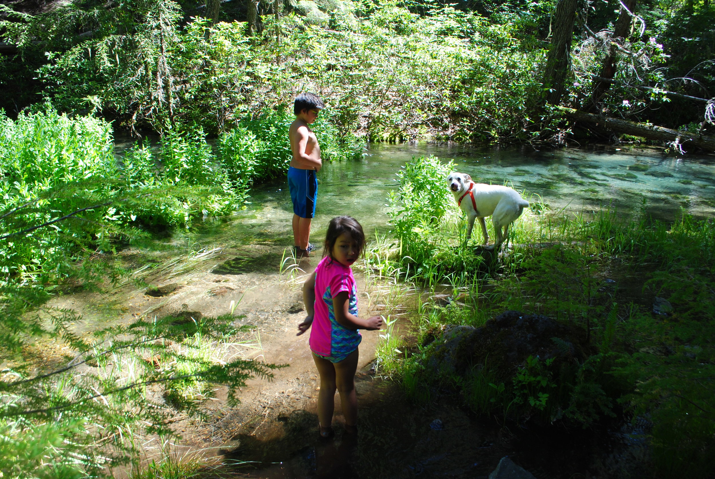 FOUR WATERFALLS, ONE DAY - HIKING ADVENTURES WITH KIDS - What to do in Southern Oregon - Things to do - Douglas County - Clearwater Falls - Clearwater River