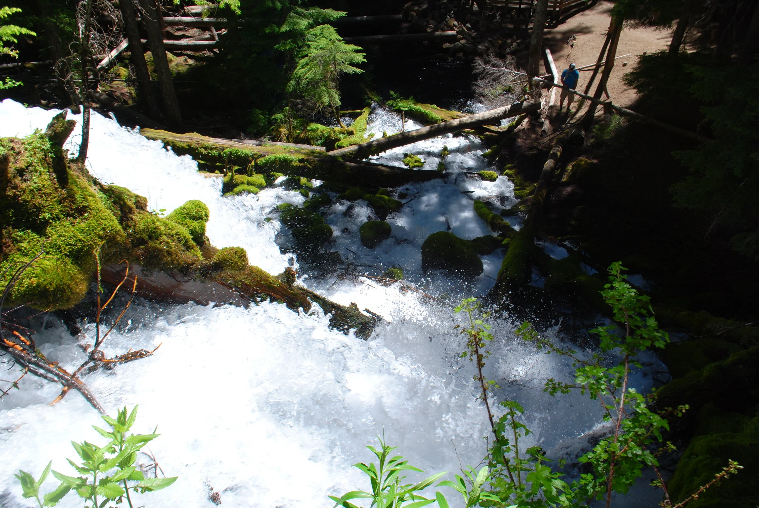 FOUR WATERFALLS, ONE DAY - HIKING ADVENTURES WITH KIDS - What to do in Southern Oregon - Things to do - Douglas County - Clearwater Fall