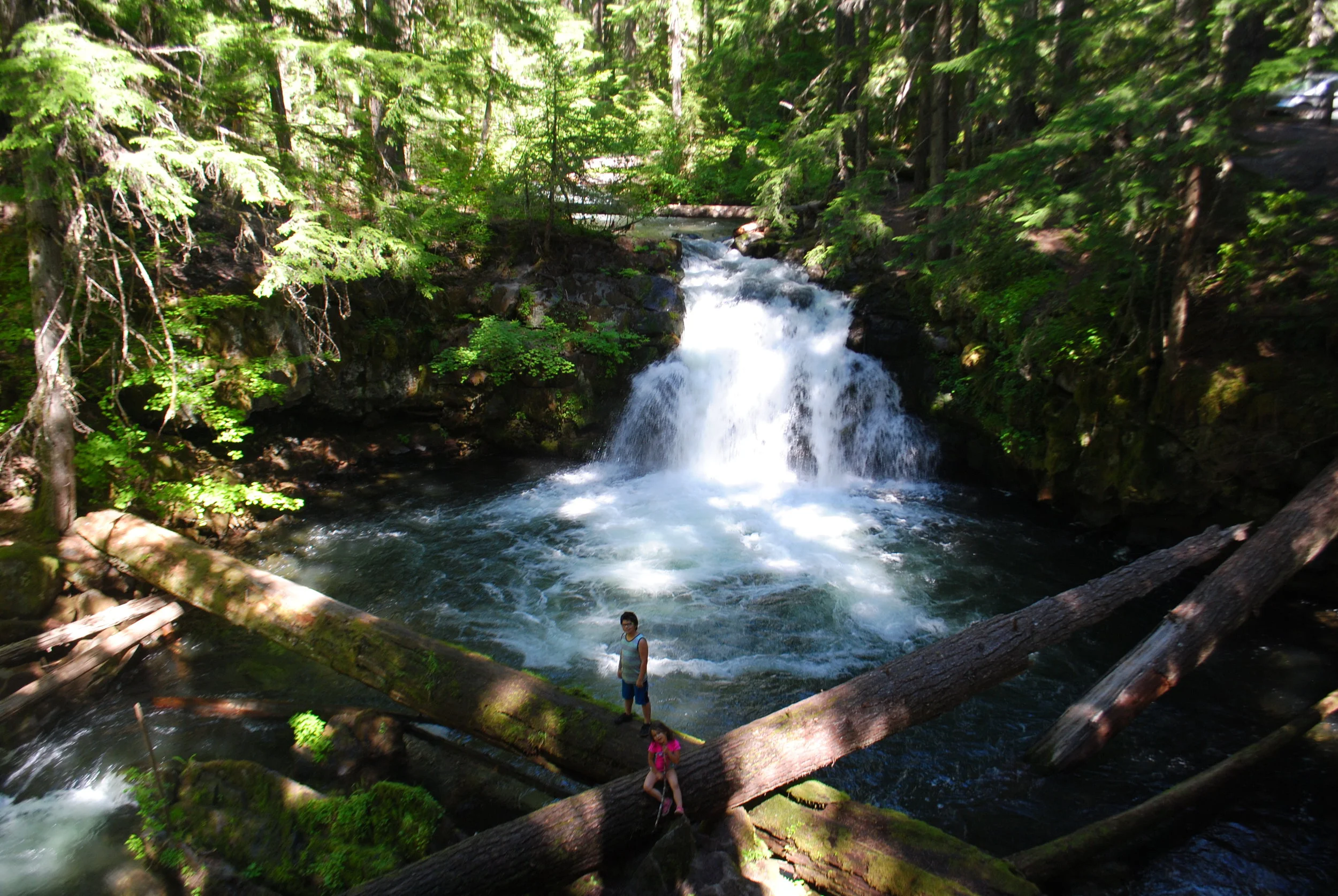 FOUR WATERFALLS, ONE DAY - HIKING ADVENTURES WITH KIDS - What to do in Southern Oregon - Things to do - Douglas County - Whitehorse Falls