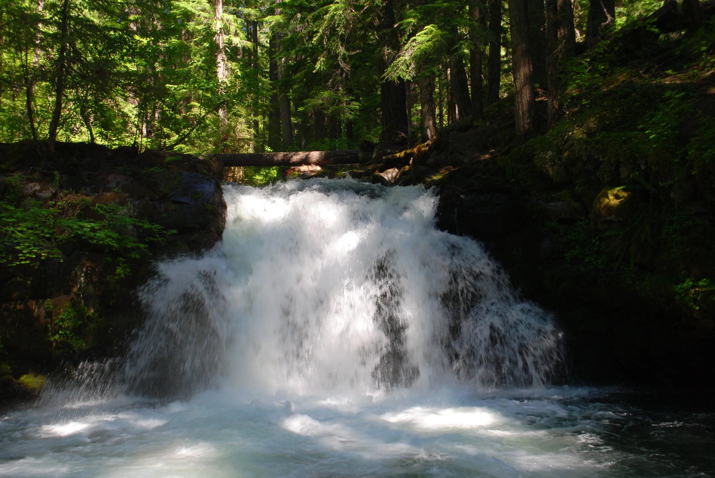 FOUR WATERFALLS, ONE DAY - HIKING ADVENTURES WITH KIDS - What to do in Southern Oregon - Things to do - Douglas County - Whitehorse Falls