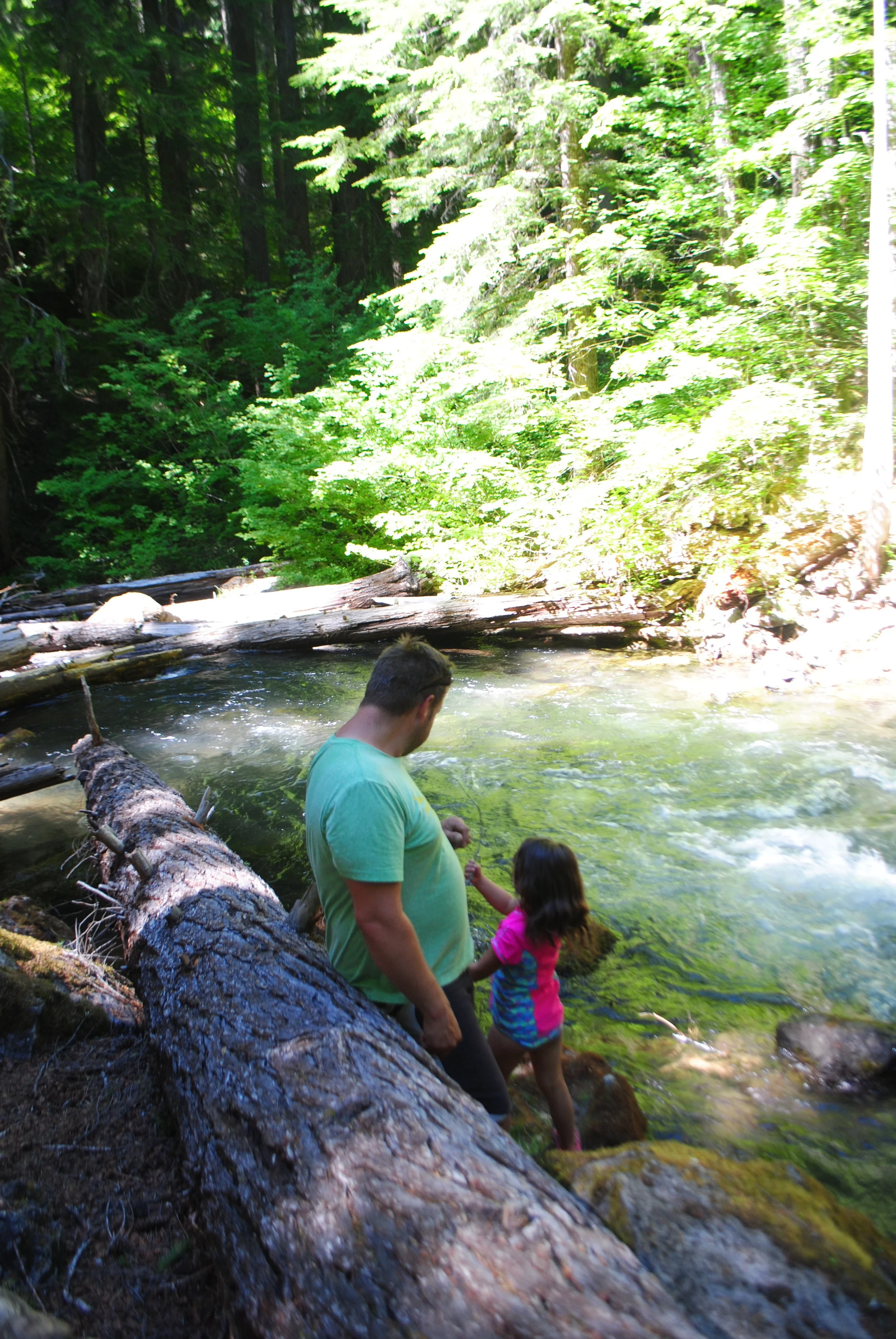 FOUR WATERFALLS, ONE DAY - HIKING ADVENTURES WITH KIDS - What to do in Southern Oregon - Things to do - Douglas County - Whitehorse Falls