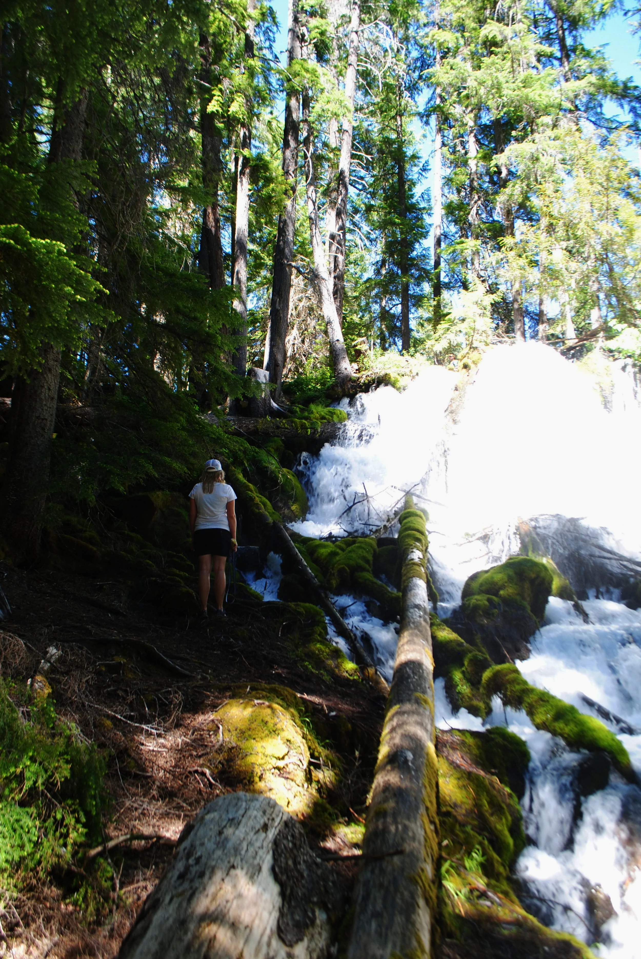 FOUR WATERFALLS, ONE DAY - HIKING ADVENTURES WITH KIDS - What to do in Southern Oregon - Things to do - Douglas County - Clearwater Fall