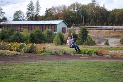 Fort Vannoy Farms zip line  -  17 SOUTHERN OREGON ADVENTURES YOU DO NOT WANT TO MISS - What to do in Southern Oregon - Kids